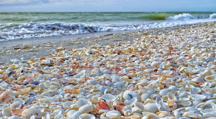 Four amazing beaches of seashells